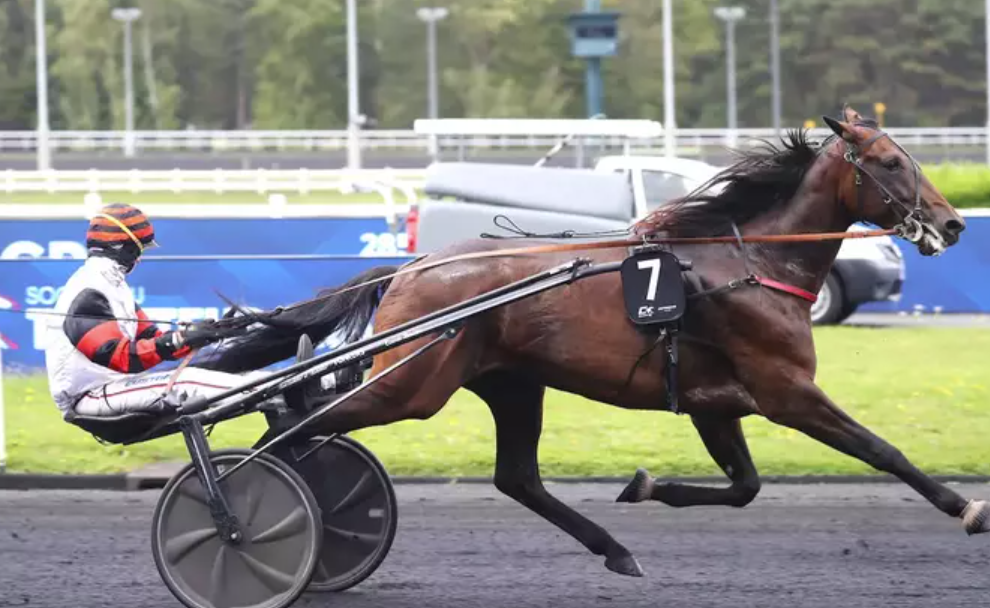 turfvictoire || turfvictoire quinté
